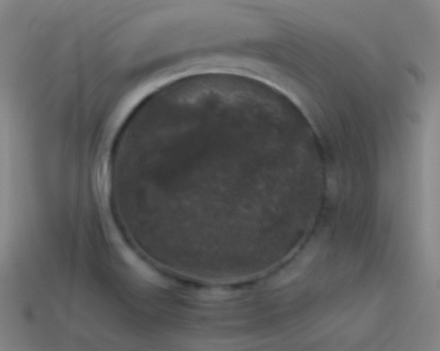 X0000114411515200910161154