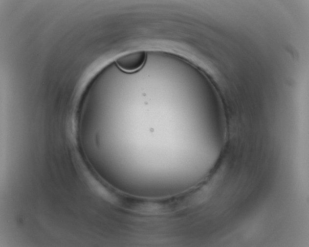 X0000114411517200910161154
