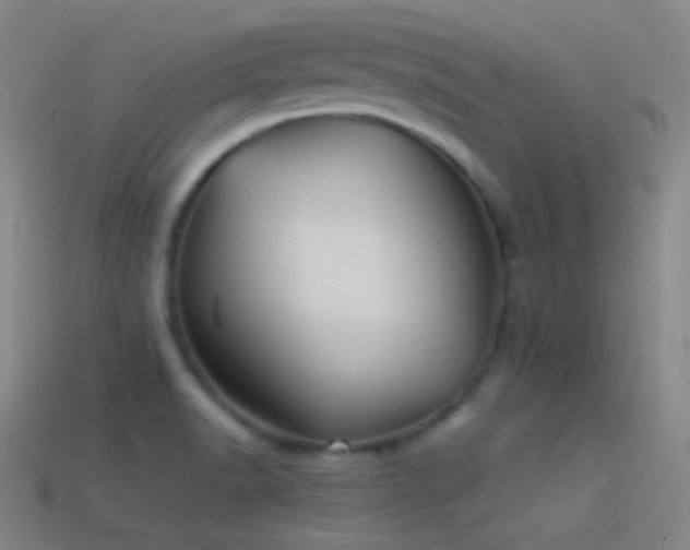 X0000114411518200910161154