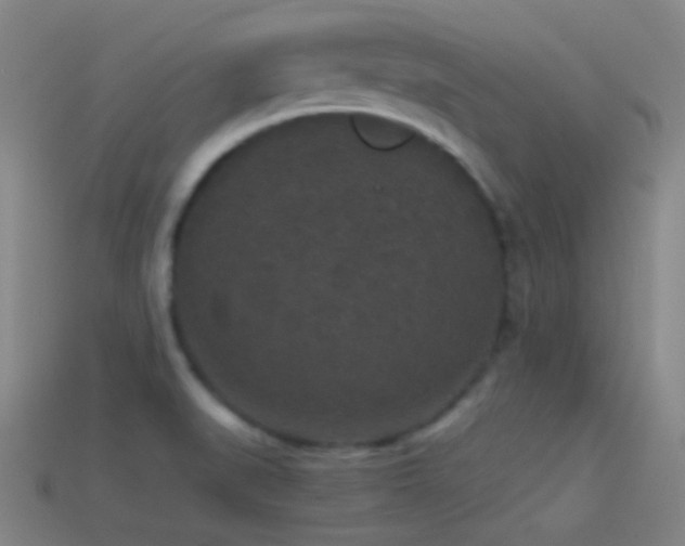 X0000114411519200910161154