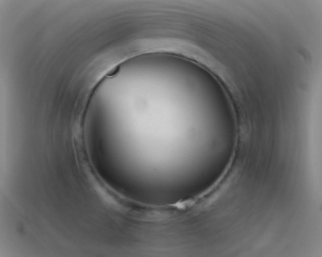 X0000114411521200910161155