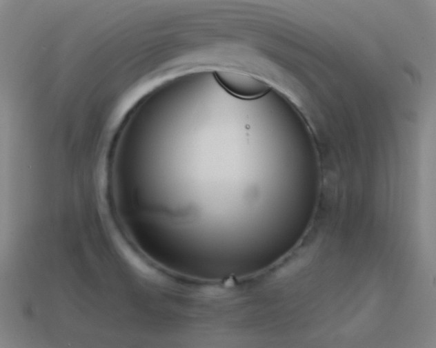 X0000114411523200910161155