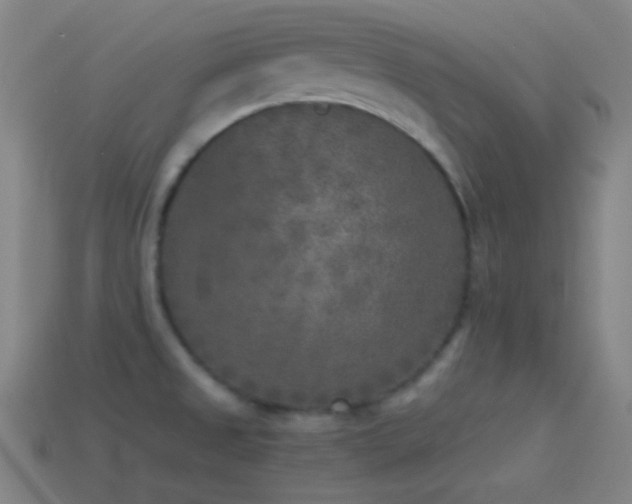 X0000114411525200910161155