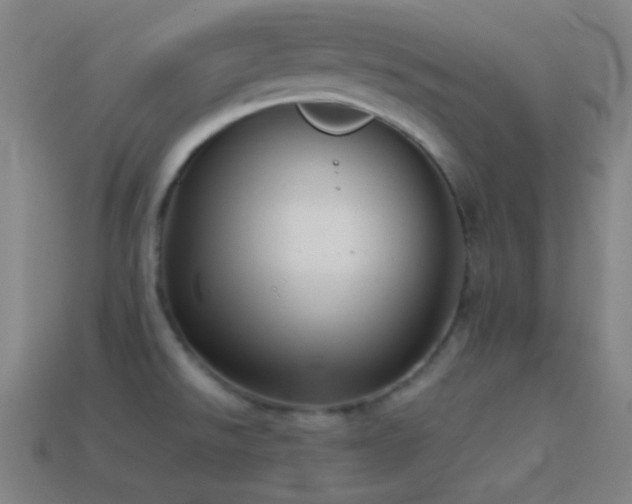 X0000114411526200910161155