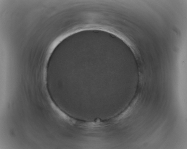 X0000114411527200910161155