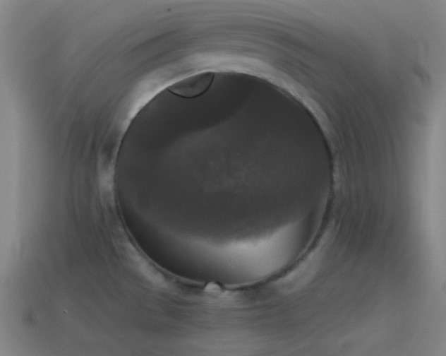 X0000114411529200910161155