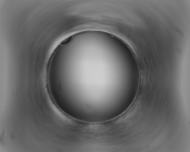 X0000114411531200910161155