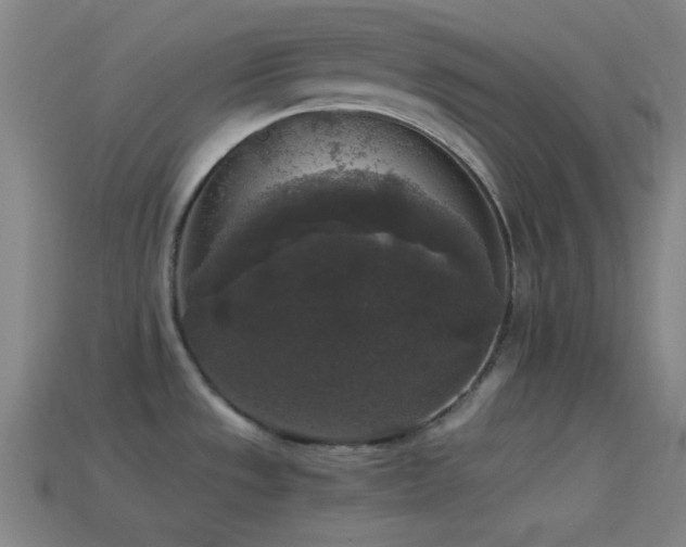 X0000114411533200910161155