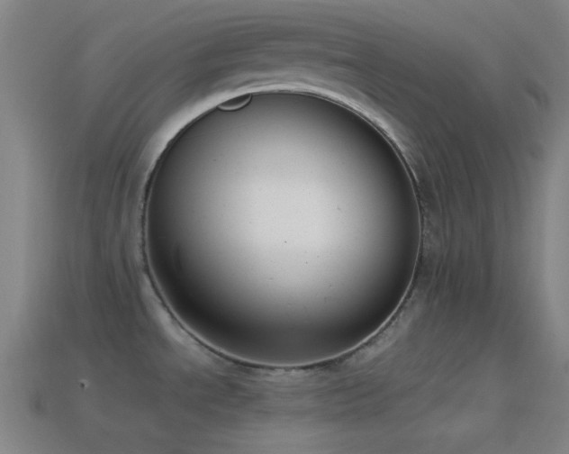X0000114411534200910161155