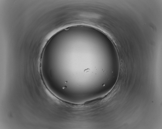 X0000114411535200910161155