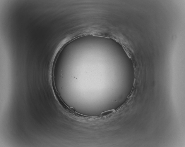 X0000114410003200910231141