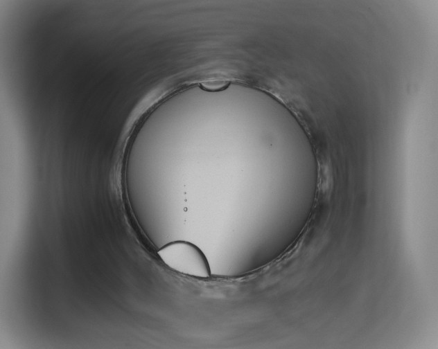 X0000114410004200910231141