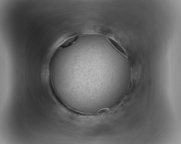 X0000114410005200910231141