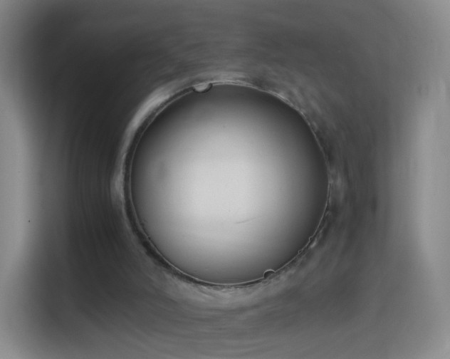 X0000114410006200910231141