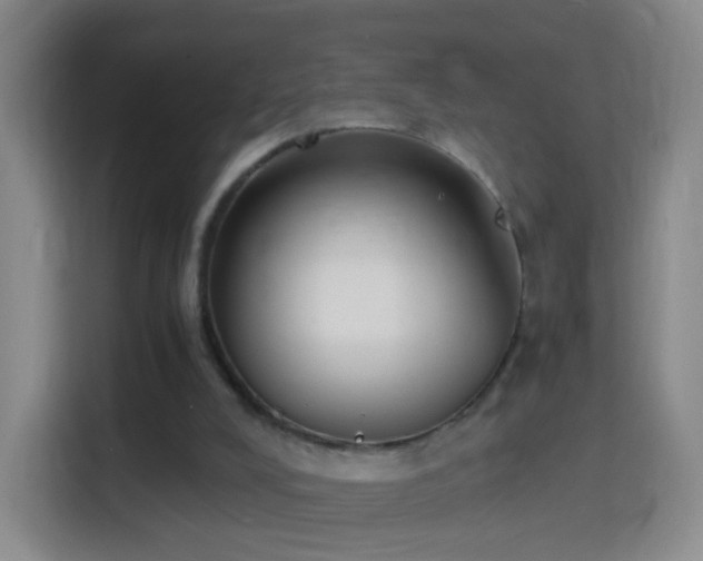 X0000114410008200910231141