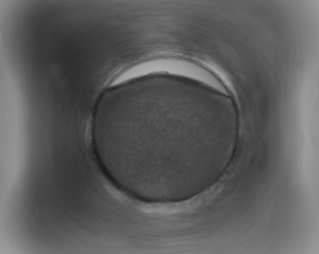 X0000114410009200910231141