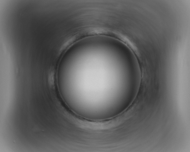 X0000114410010200910231141