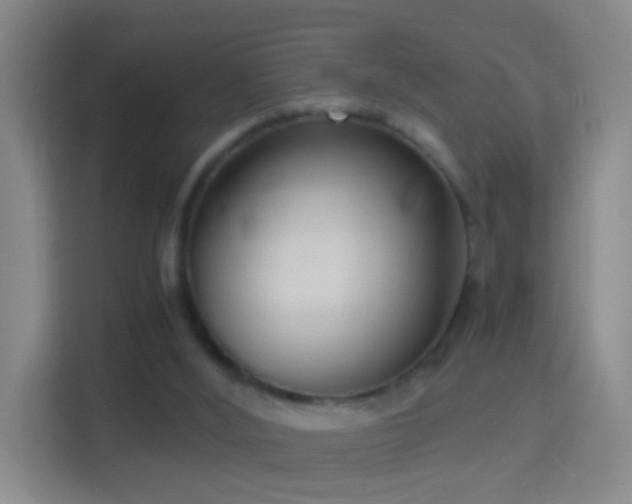 X0000114410012200910231141