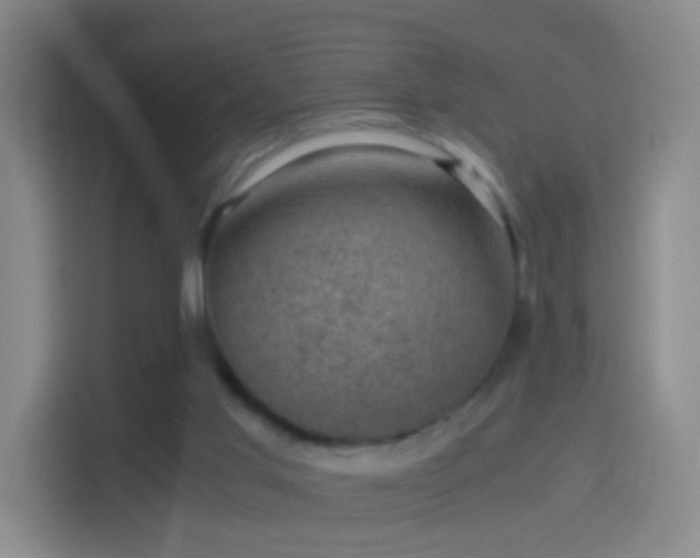 X0000114410013200910231141