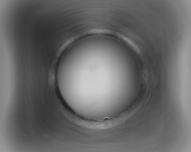 X0000114410015200910231141