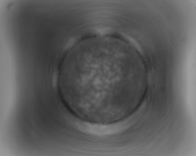 X0000114410018200910231141