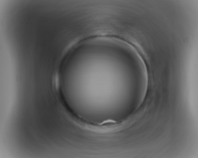 X0000114410019200910231141
