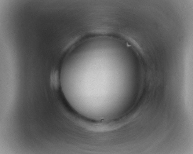 X0000114410020200910231141