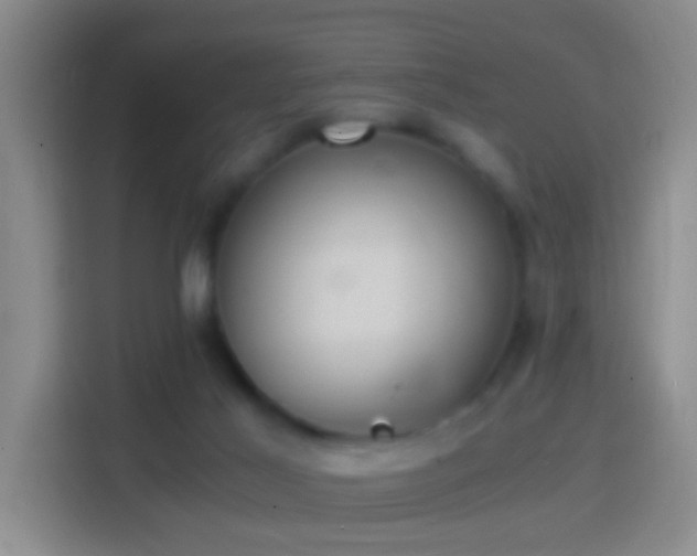 X0000114410021200910231141