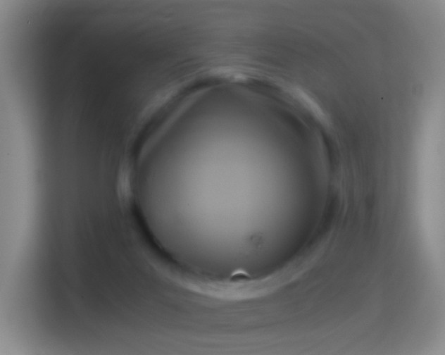 X0000114410023200910231141