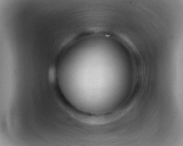 X0000114410024200910231141