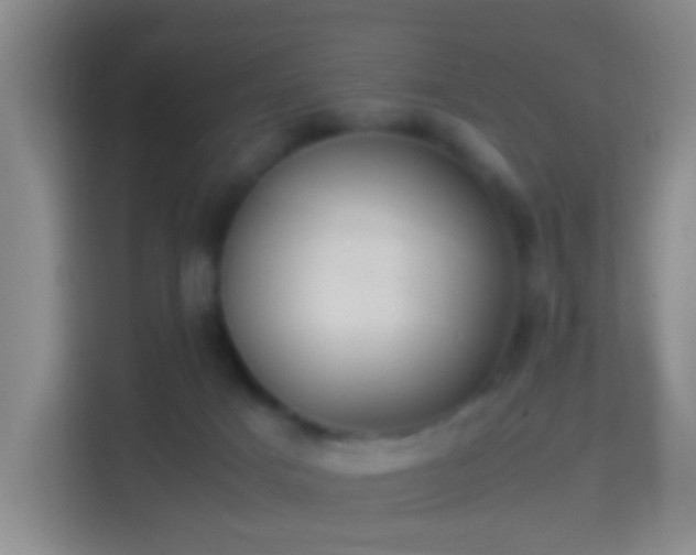 X0000114410025200910231141