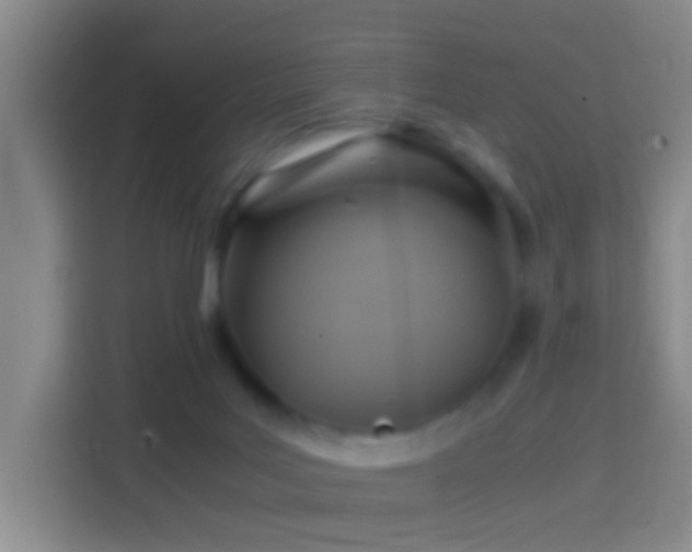 X0000114410027200910231141