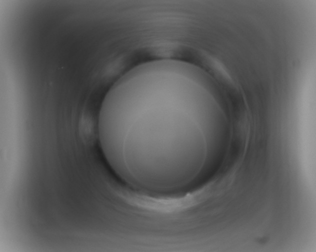 X0000114410031200910231141