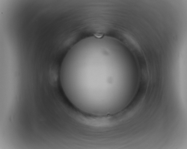 X0000114410032200910231141