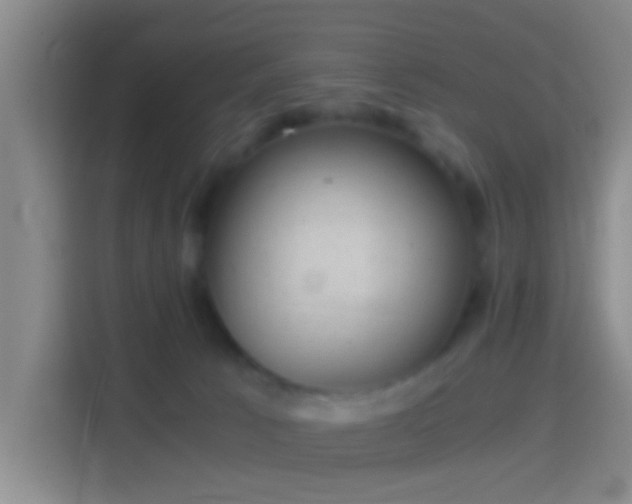 X0000114410033200910231141