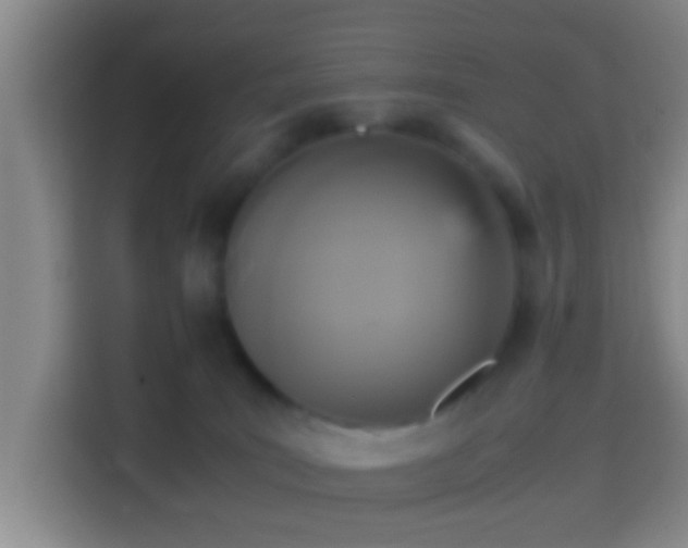 X0000114410035200910231141