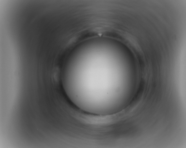 X0000114410036200910231141
