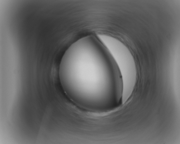 X0000114410037200910231141