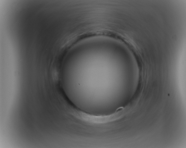 X0000114410039200910231141