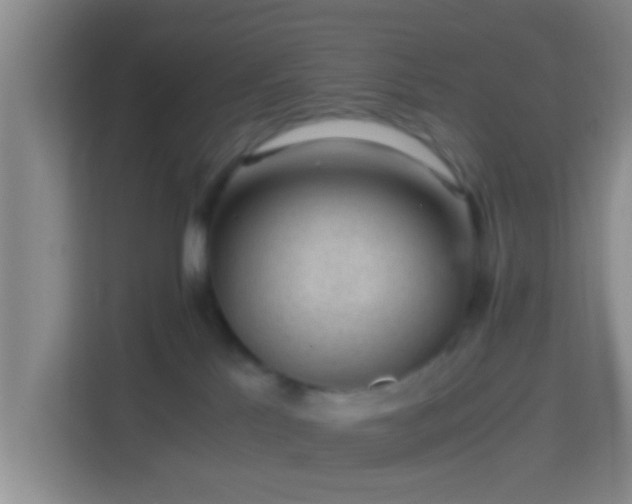X0000114410041200910231141