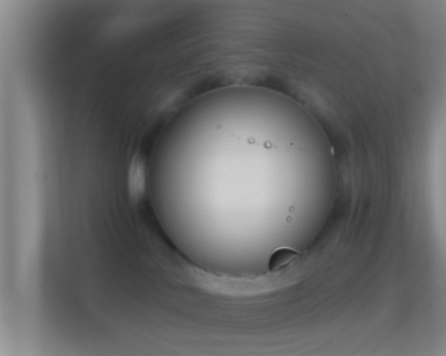 X0000114410042200910231141