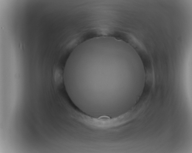 X0000114410043200910231141