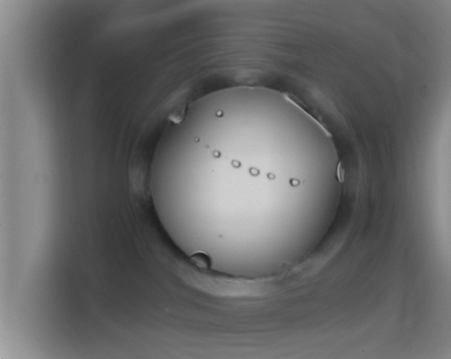 X0000114410044200910231141