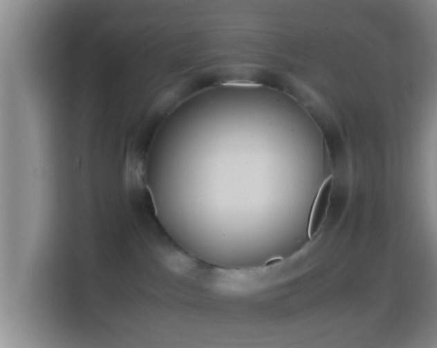 X0000114410045200910231141