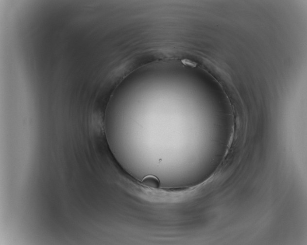 X0000114410048200910231141