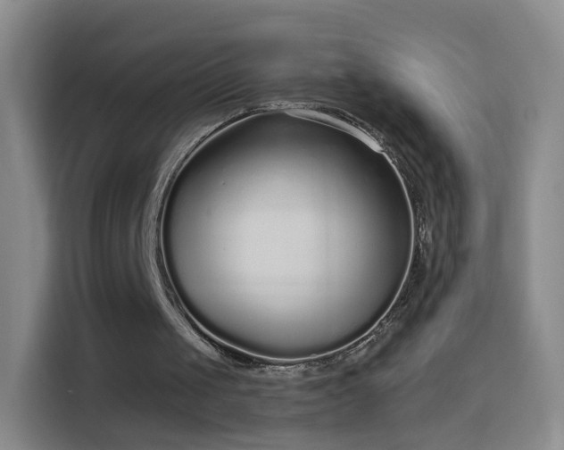 X0000114410049200910231140