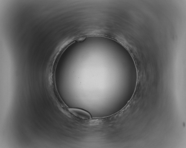 X0000114410050200910231140