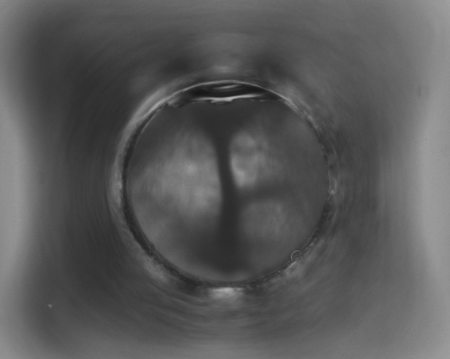 X0000114410053200910231140