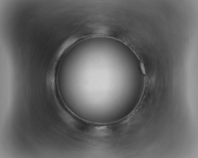 X0000114410054200910231140