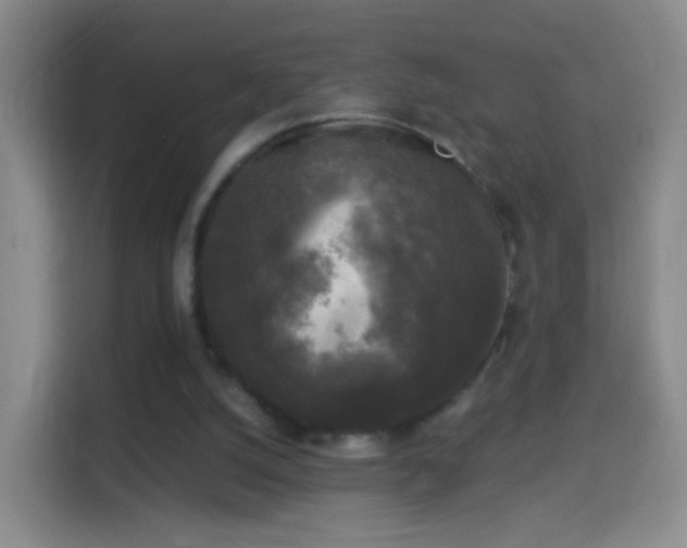 X0000114410056200910231140